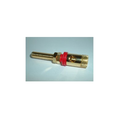 音箱重量級接線柱