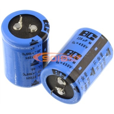 PHILIPS(飛利浦) VISHA BC進(jìn)口發(fā)燒電解電容(220uf/450V)