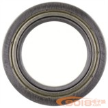 F6805ZZ F61805ZZ高速精品薄壁軸承 法蘭擋邊深溝球軸承 內徑25*37*7MM